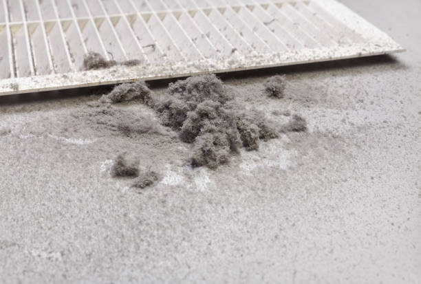 Best Professional Duct Cleaning Services  in South Haven, MI