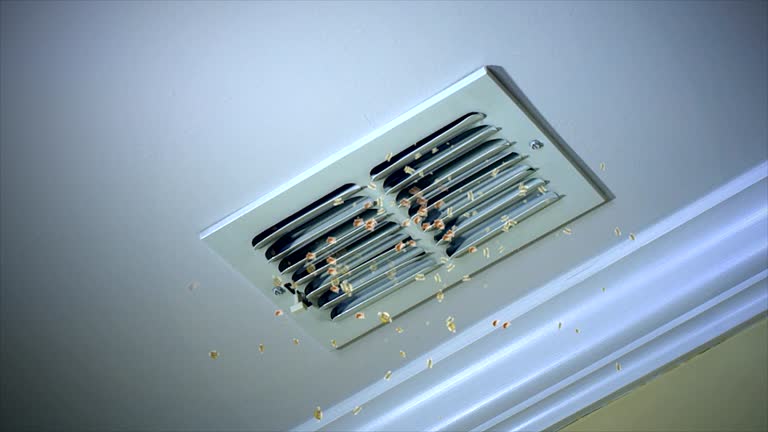 Best HVAC Air Duct Cleaning  in South Haven, MI