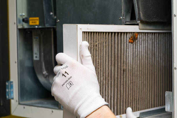 Best Affordable Air Duct Cleaning  in South Haven, MI