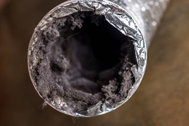 Best Ductwork Cleaning Services  in South Haven, MI