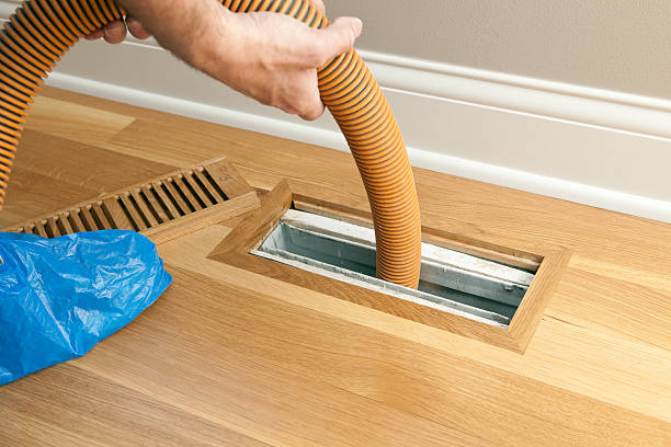 Best Residential Air Duct Cleaning  in South Haven, MI
